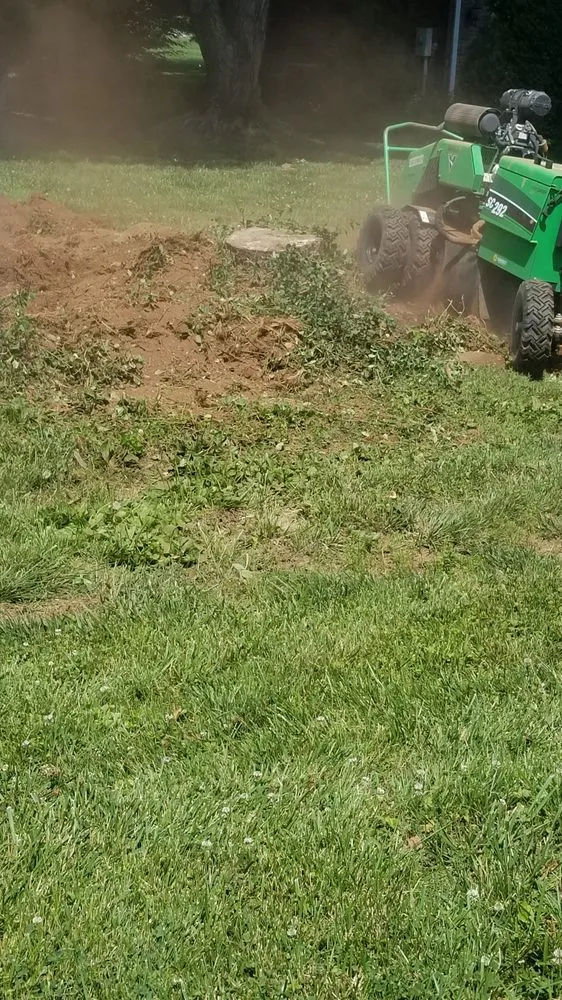Custom yard maintenance in Fountain Run, KY by J&S Tree and Stump Removal