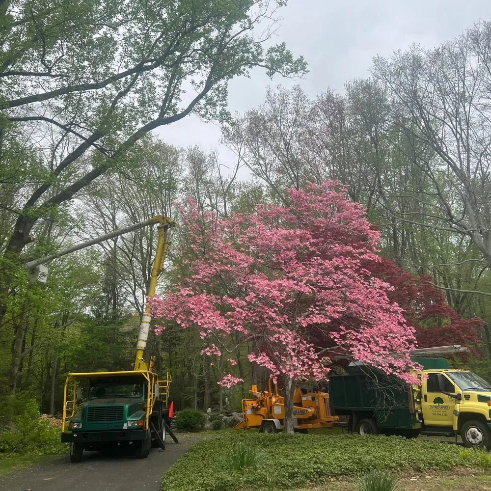 Professional lawn mowing service near you in Norwalk, CT by JS Tree Expert