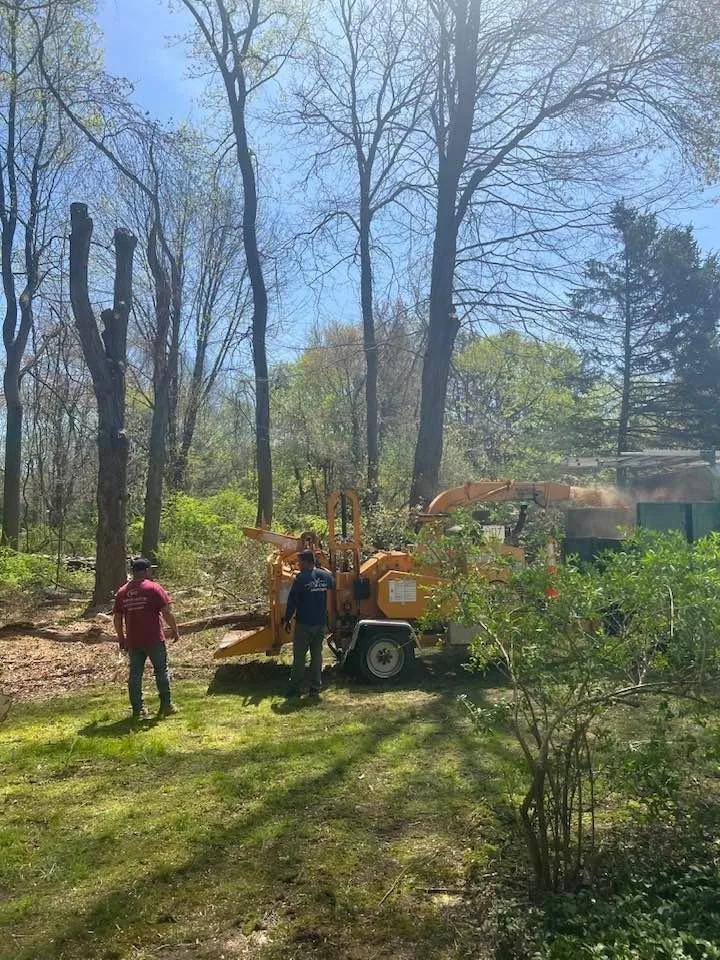 Professional outdoor landscaping in Norwalk, CT by JS Tree Expert