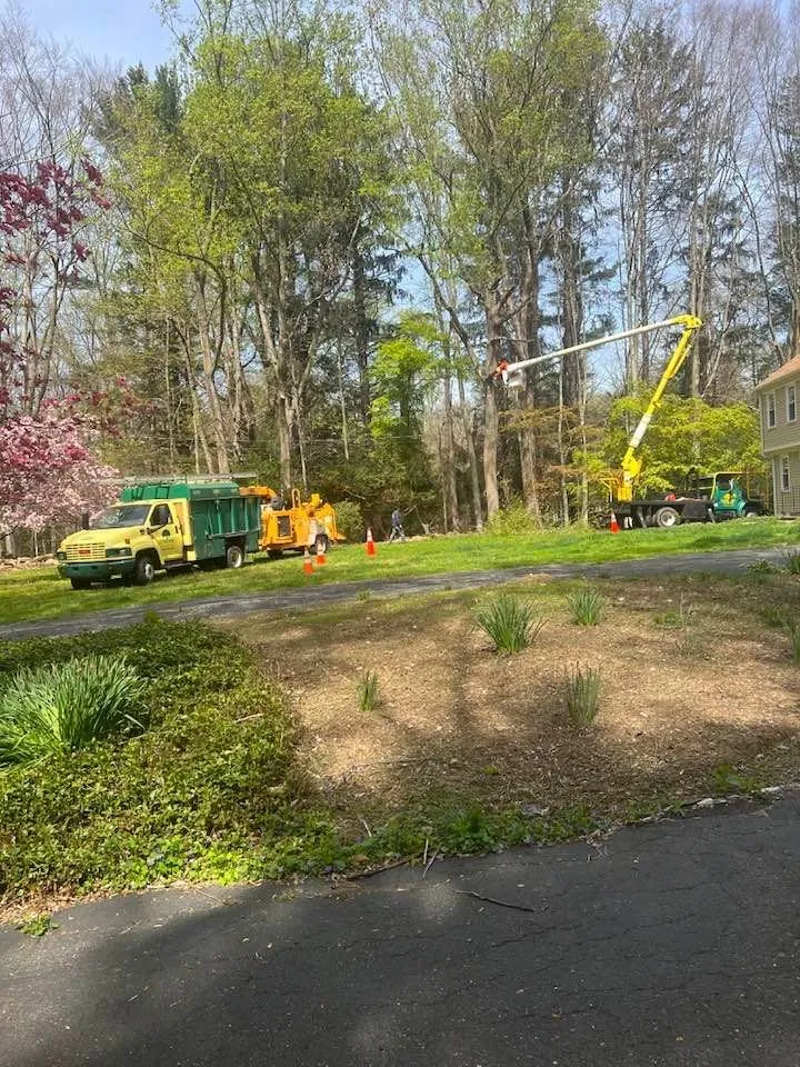 Affordable yard maintenance for homes across Norwalk, CT - JS Tree Expert