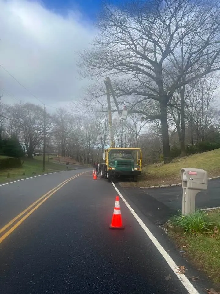 Expert yard cleanup service for homes across Norwalk, CT - JS Tree Expert