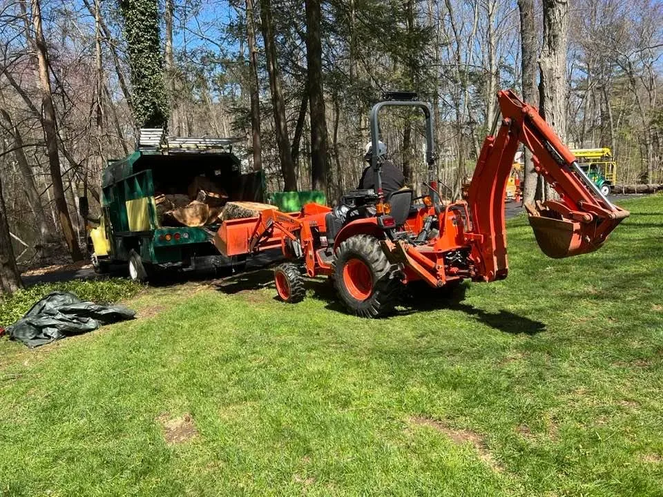 Affordable garden landscaping for beautiful yards in Norwalk, CT by JS Tree Expert