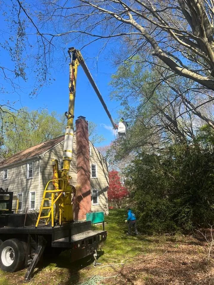 Professional residential landscaping in Norwalk, CT by JS Tree Expert