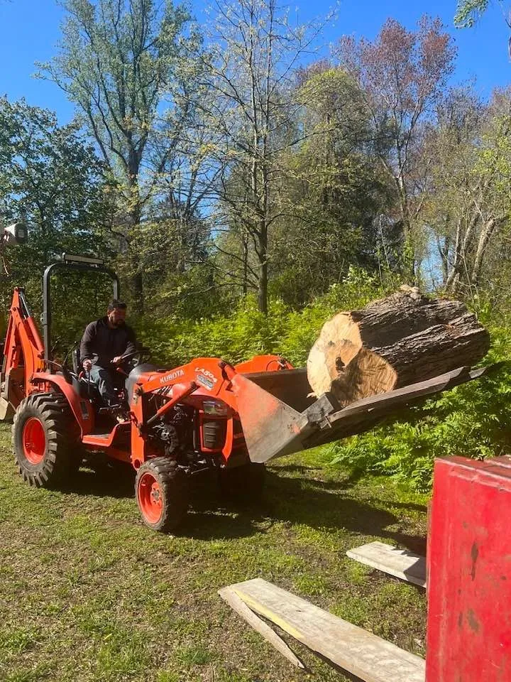 Top-rated lawn mowing service with custom design in Norwalk, CT by JS Tree Expert