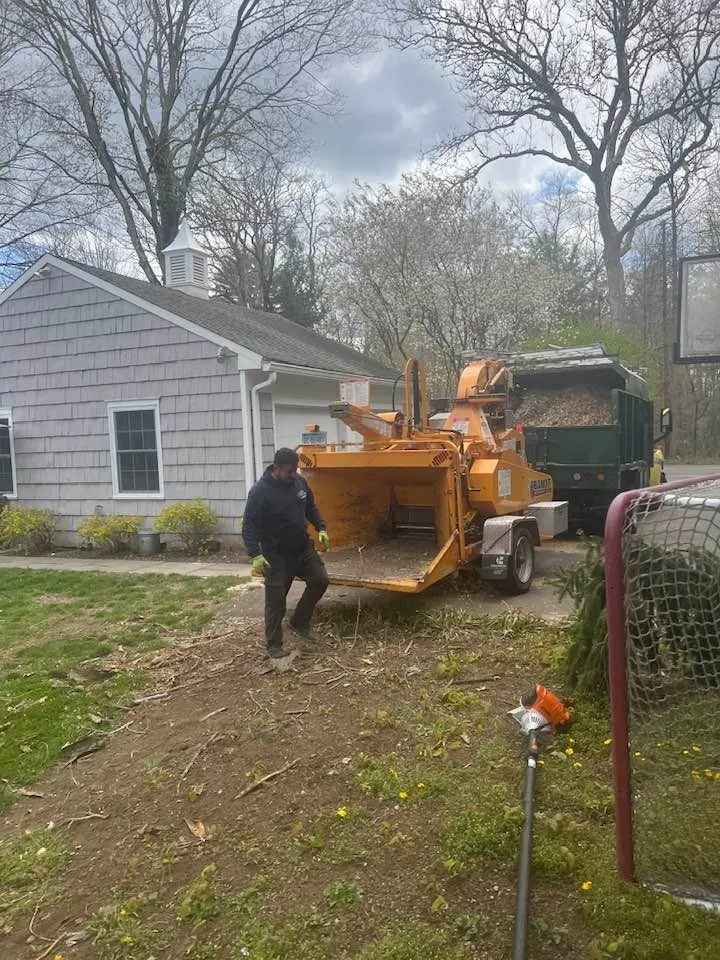 Professional lawn care service experts serving Norwalk, CT - JS Tree Expert