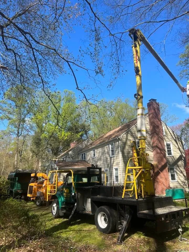 Affordable yard maintenance in Norwalk, CT - JS Tree Expert