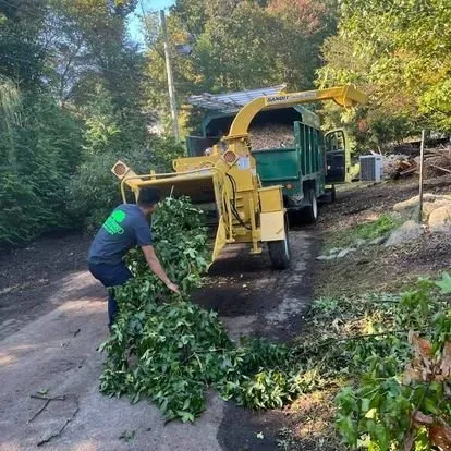 Local yard maintenance in Norwalk, CT by JS Tree Expert