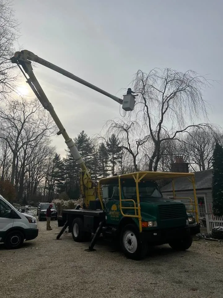 Affordable lawn care service with custom design across Norwalk, CT - JS Tree Expert