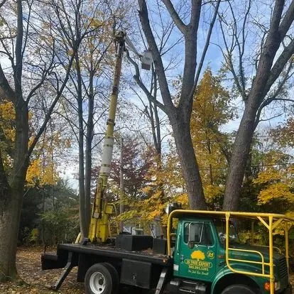 Custom yard maintenance in Norwalk, CT - JS Tree Expert