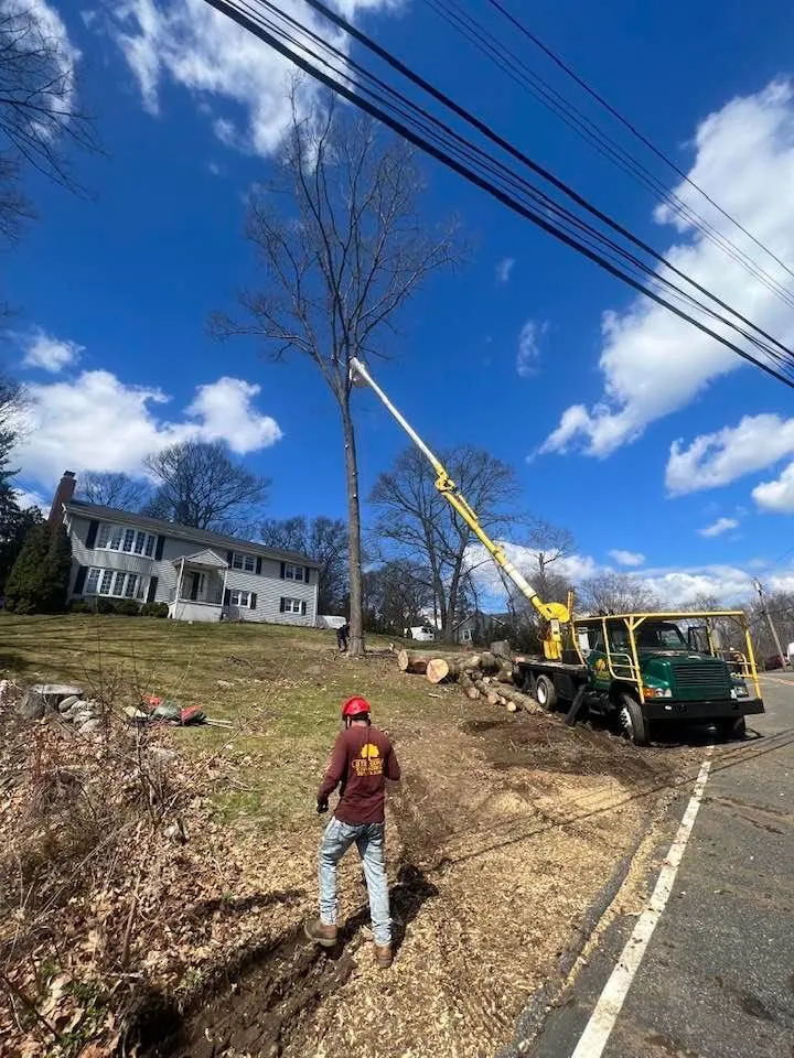 Custom landscaping services for homes across Norwalk, CT - JS Tree Expert
