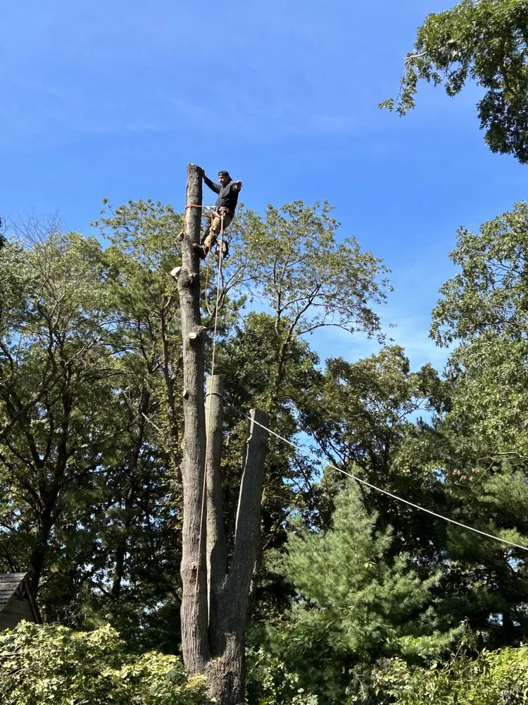 Custom lawn mowing service for residential properties across Brentwood, NY - J&S Tree Removal