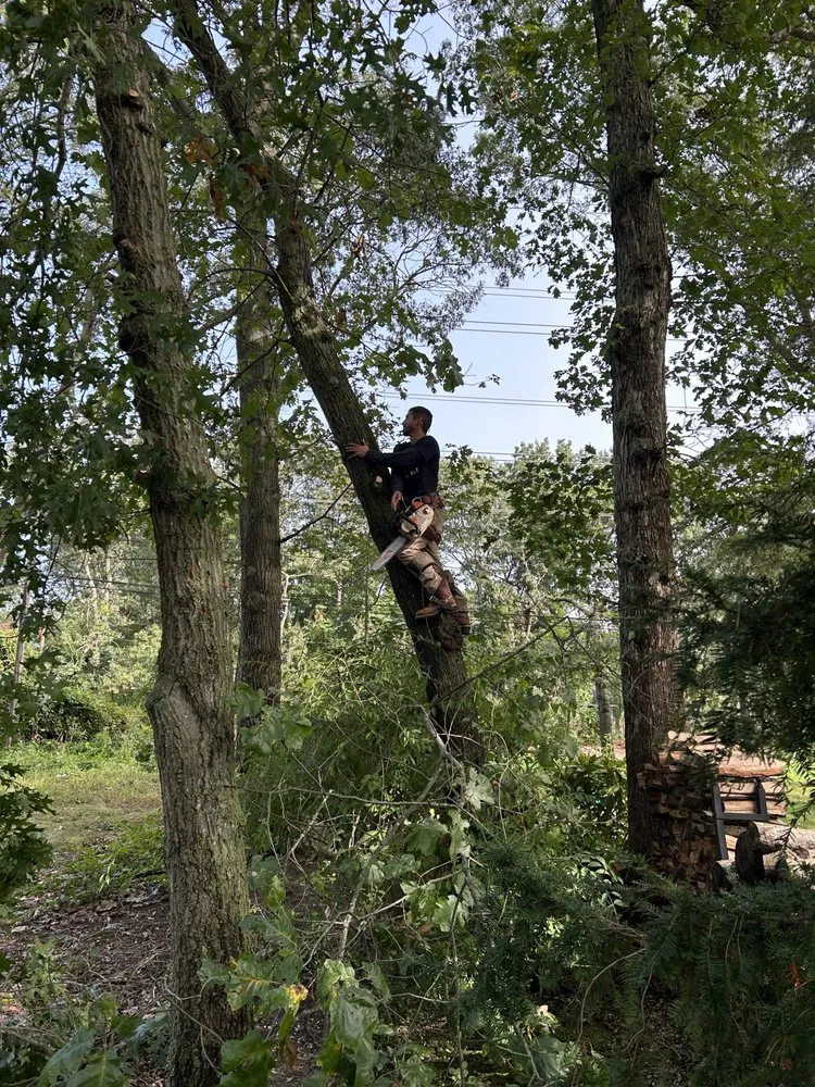 Custom residential landscaping for homes across Brentwood, NY - J&S Tree Removal