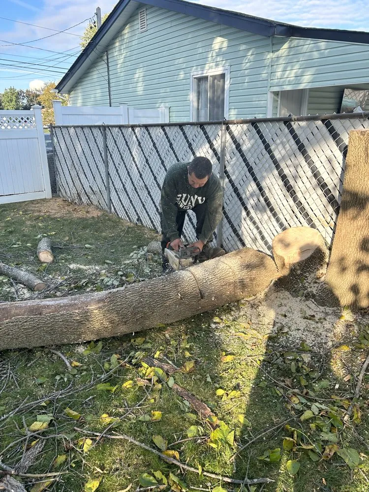 Top-rated residential landscaping for residential properties in Brentwood, NY by J&S Tree Removal