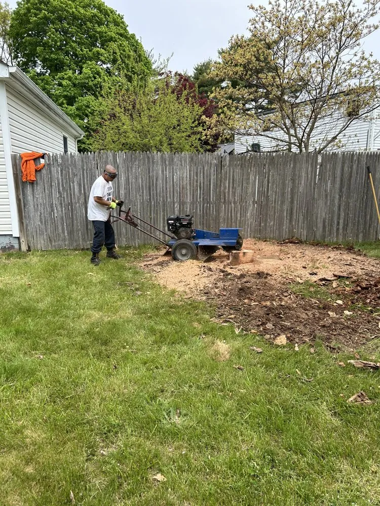 Expert landscape installation in Brentwood, NY by J&S Tree Removal