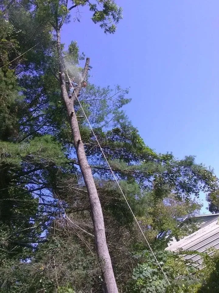 Top-rated landscaping services in Lake Toxaway, NC by J's Tree Service & Landscaping