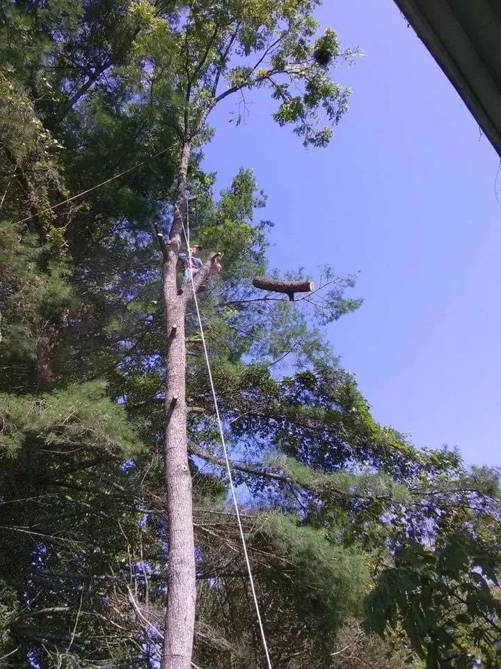 Top-rated landscaping services in Lake Toxaway, NC - J's Tree Service & Landscaping