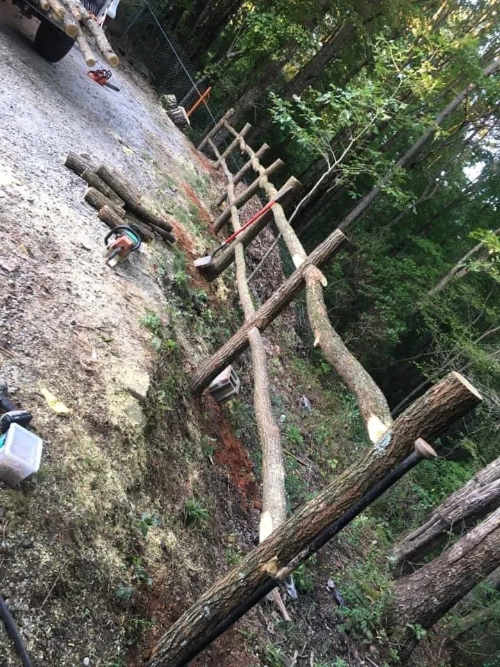 Professional yard cleanup service for outdoor upgrades in Lake Toxaway, NC by J's Tree Service & Landscaping