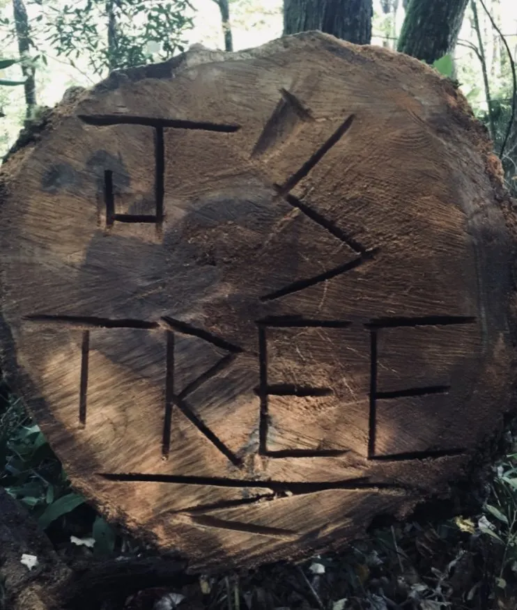 Trusted landscape design with custom design in Lake Toxaway, NC by J's Tree Service & Landscaping