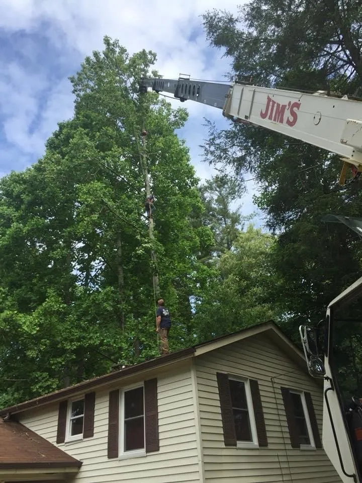 Custom landscape installation experts serving Lake Toxaway, NC - J's Tree Service & Landscaping