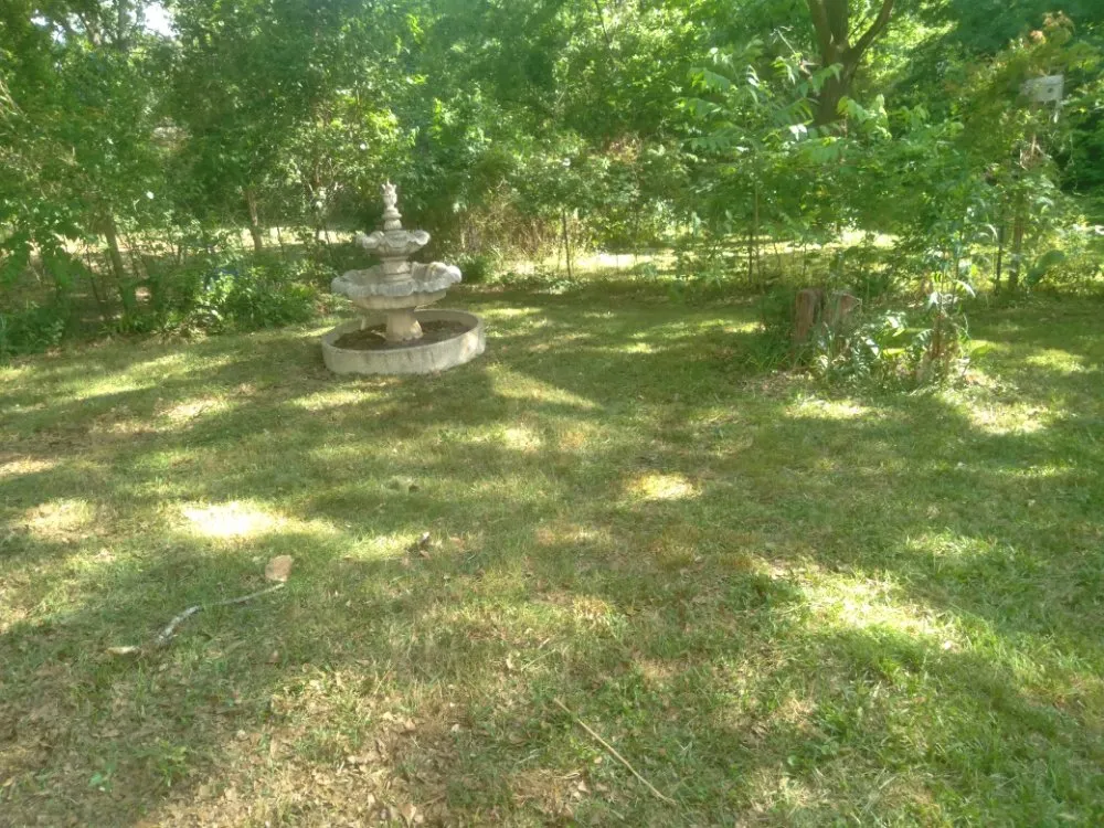 Local yard cleanup service for beautiful yards in Westminster, SC by JS