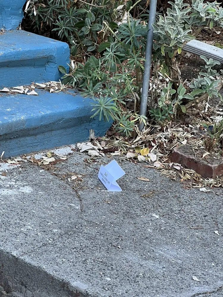 Trusted yard cleanup service with custom design across Seattle, WA - J&S Yard & Landscape Service