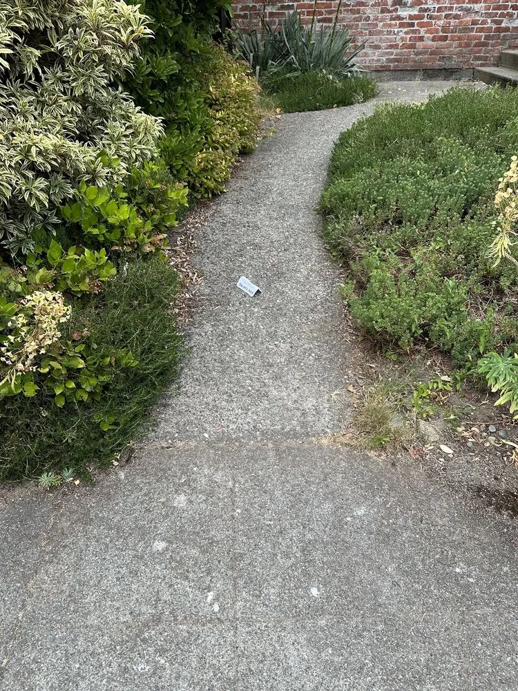 Custom garden landscaping for outdoor upgrades in Seattle, WA by J&S Yard & Landscape Service