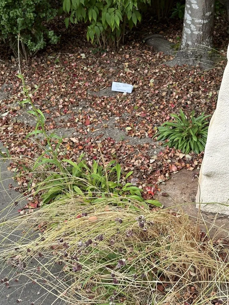 Expert garden landscaping in Seattle, WA - J&S Yard & Landscape Service