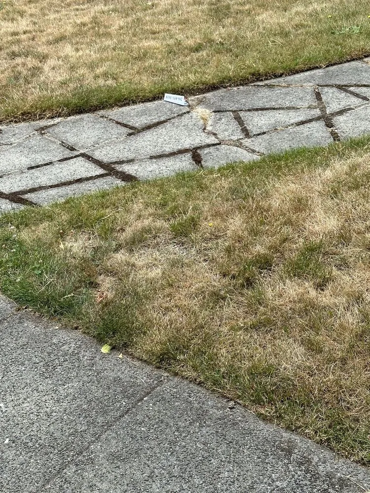 Top-rated landscape installation for residential properties in Seattle, WA by J&S Yard & Landscape Service