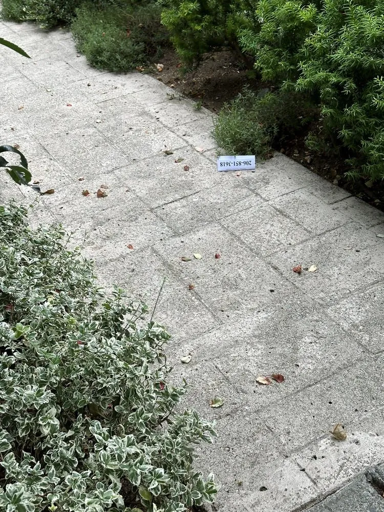 Expert residential landscaping in Seattle, WA - J&S Yard & Landscape Service