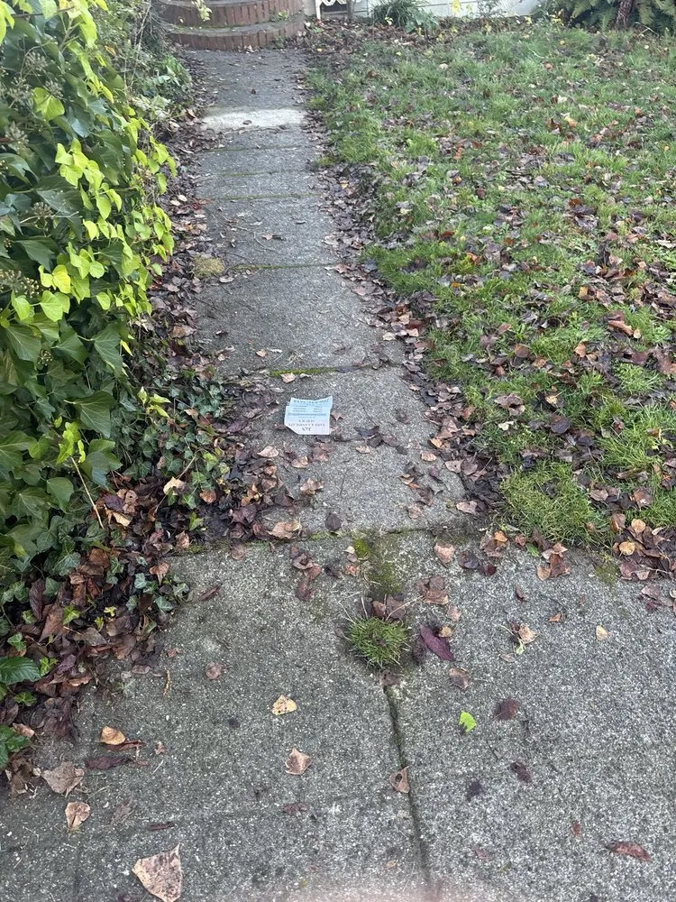 Reliable landscape installation for year-round maintenance in Seattle, WA by J&S Yard & Landscape Service