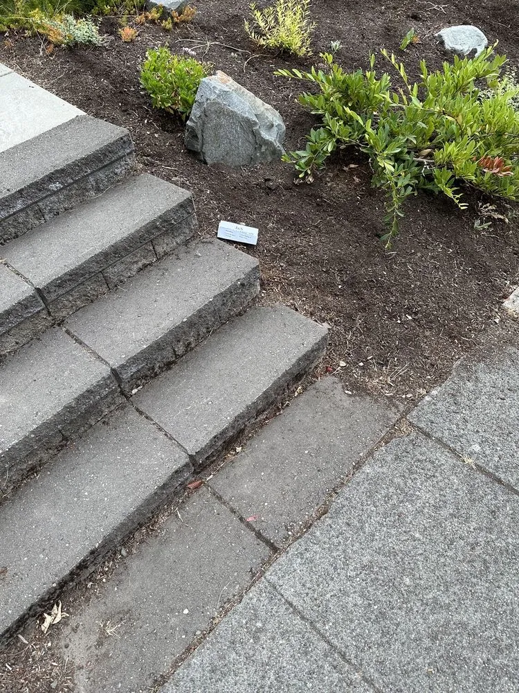 Top-rated landscaping services with custom design across Seattle, WA - J&S Yard & Landscape Service