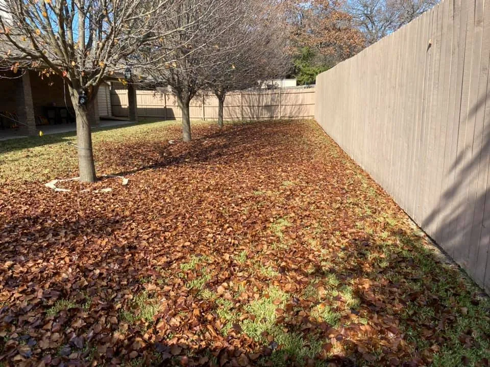 Expert yard cleanup service experts serving Ludowici, GA - J’s YardScapes