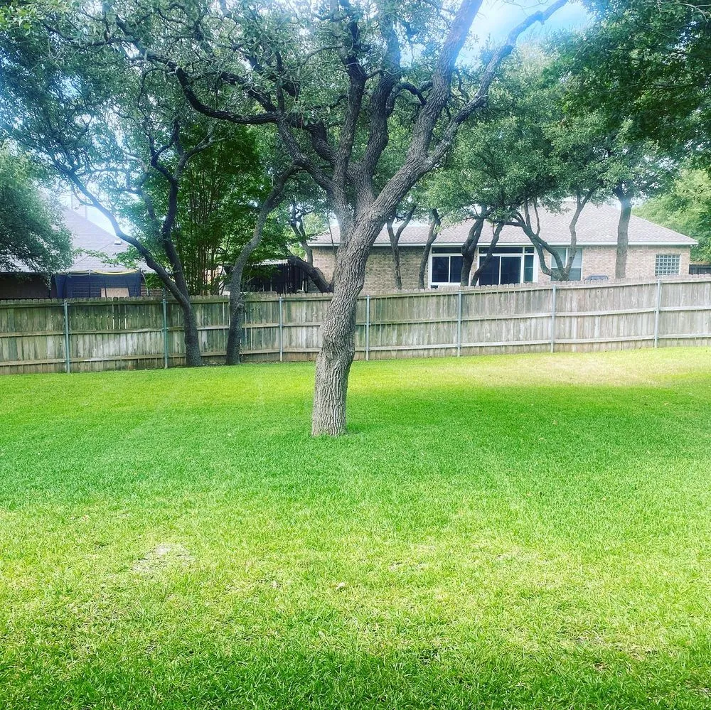 Expert residential landscaping in Ludowici, GA by J’s YardScapes