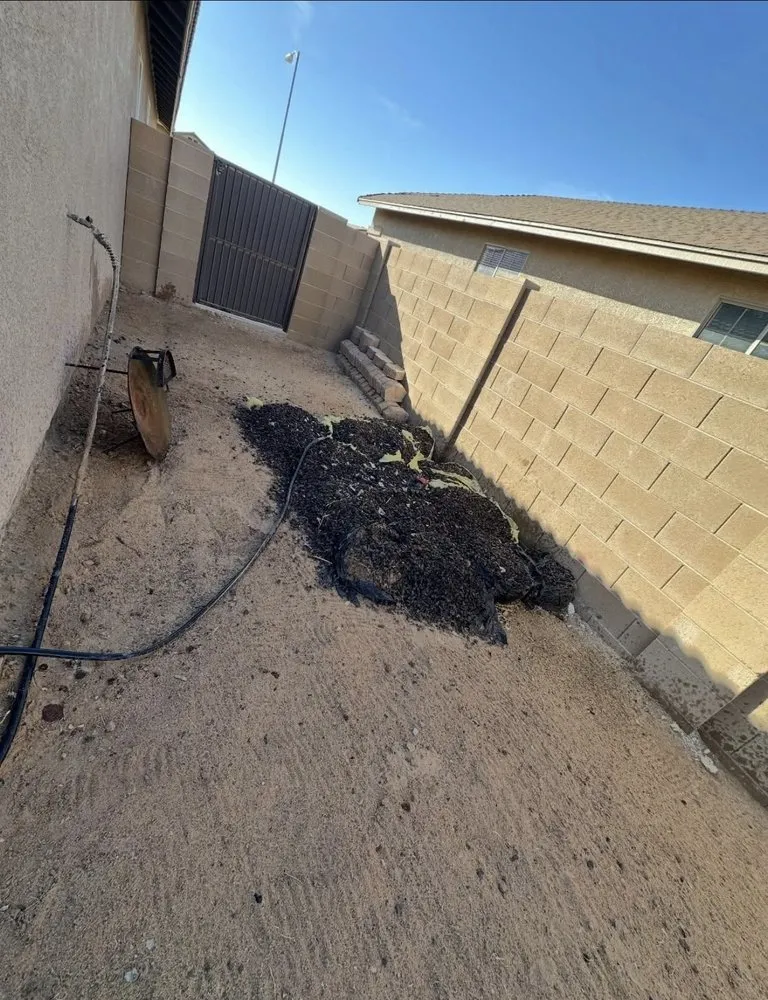 Professional landscape design for homes in Salinas, CA by Jsa Landscaping Junk Removal