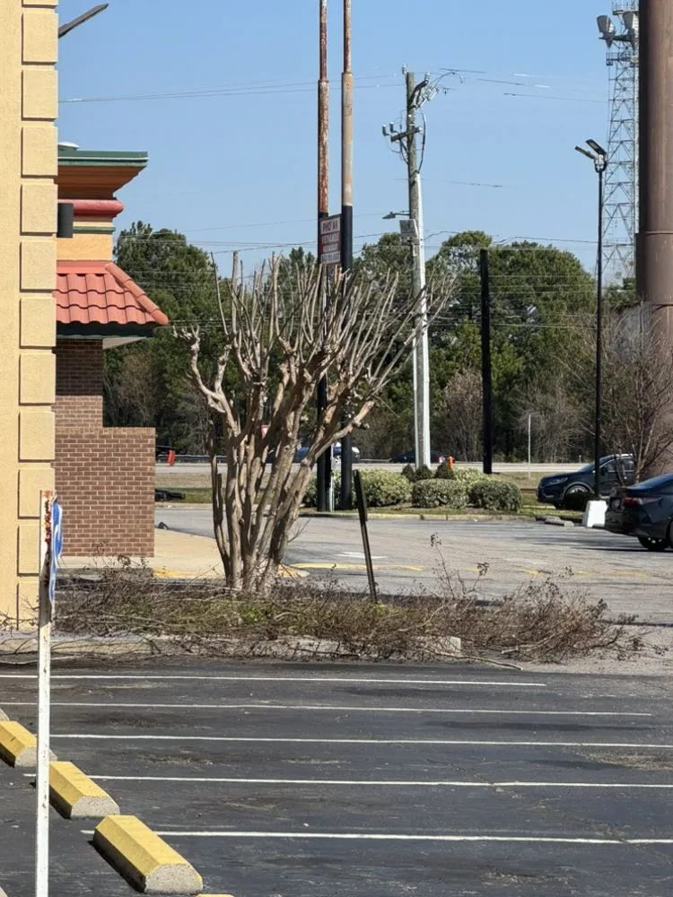 Professional yard maintenance near you in Timmonsville, SC by JSalas Landscaping