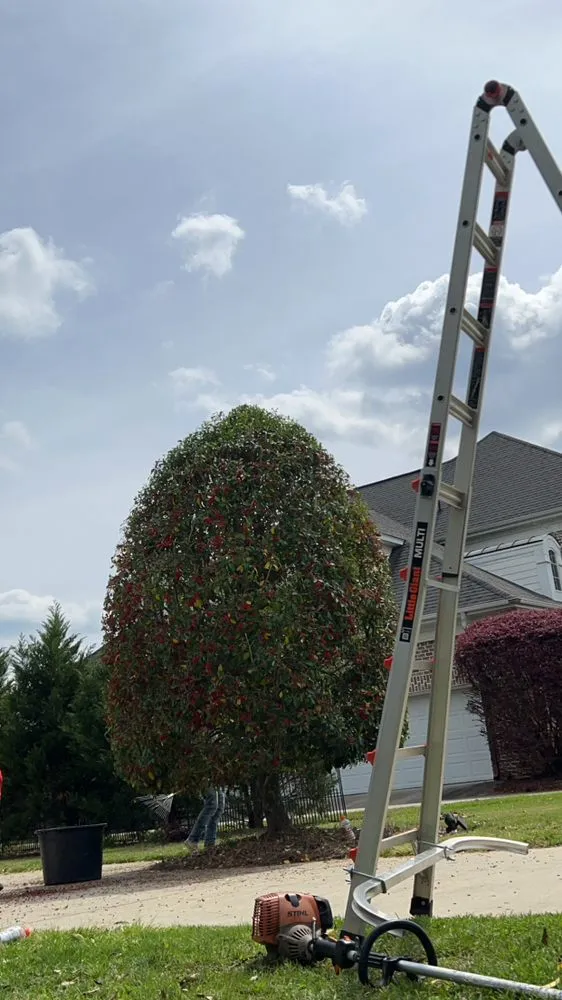 Professional lawn care service in Timmonsville, SC by JSalas Landscaping