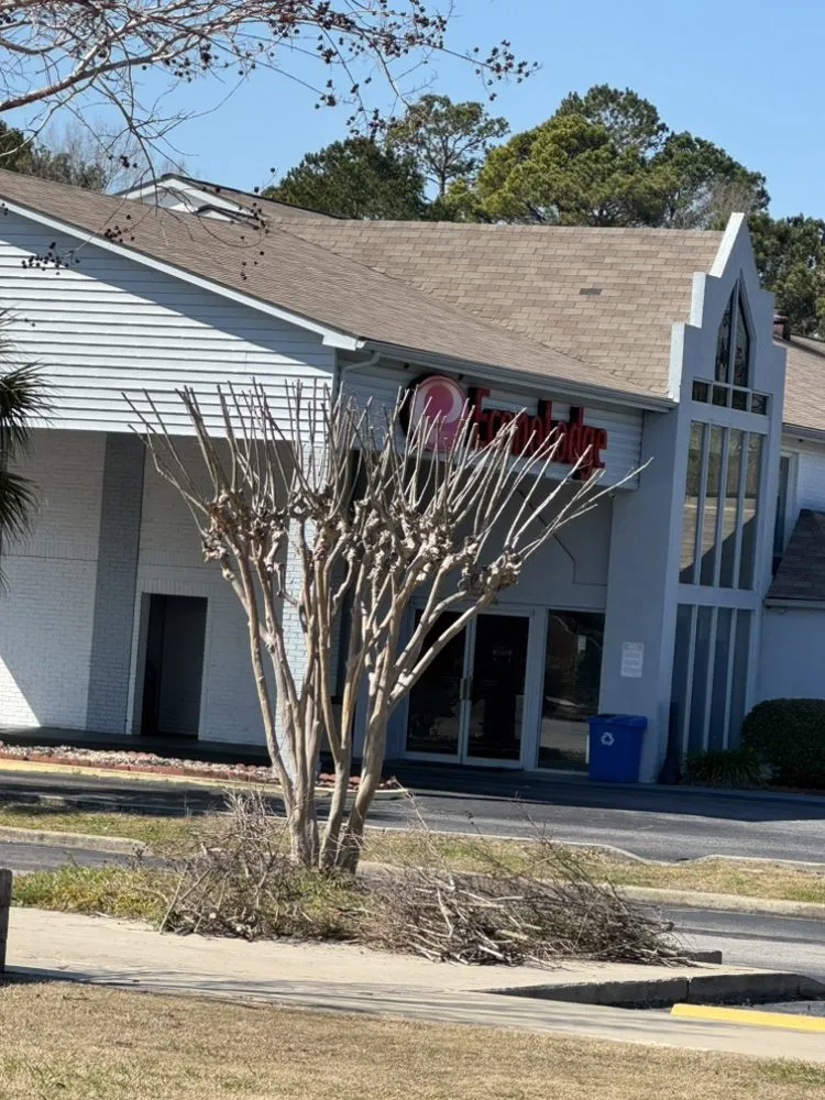 Custom yard cleanup service experts serving Timmonsville, SC - JSalas Landscaping