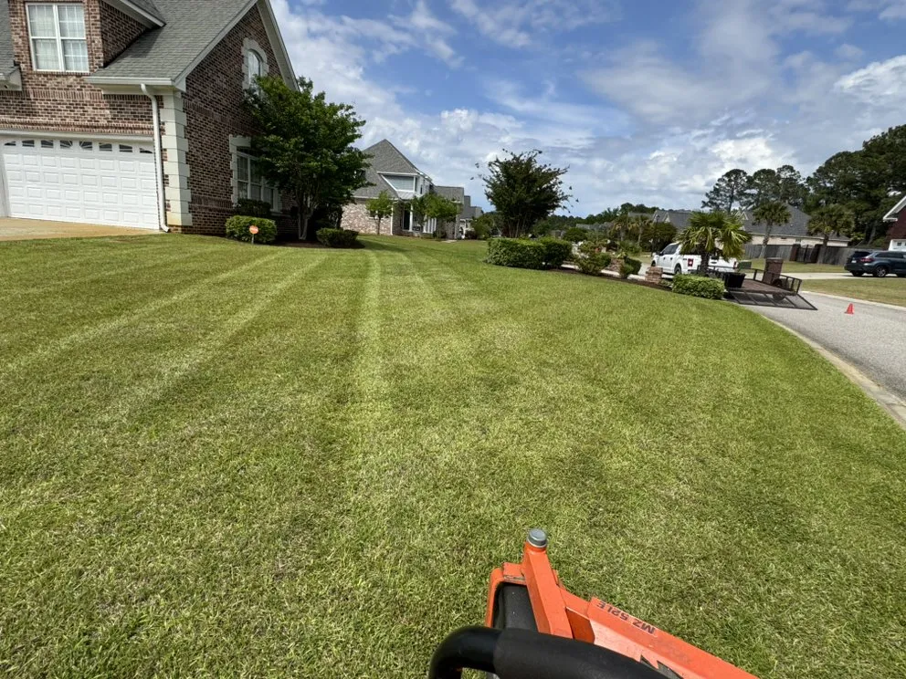 Professional yard cleanup service in Timmonsville, SC by JSalas Landscaping