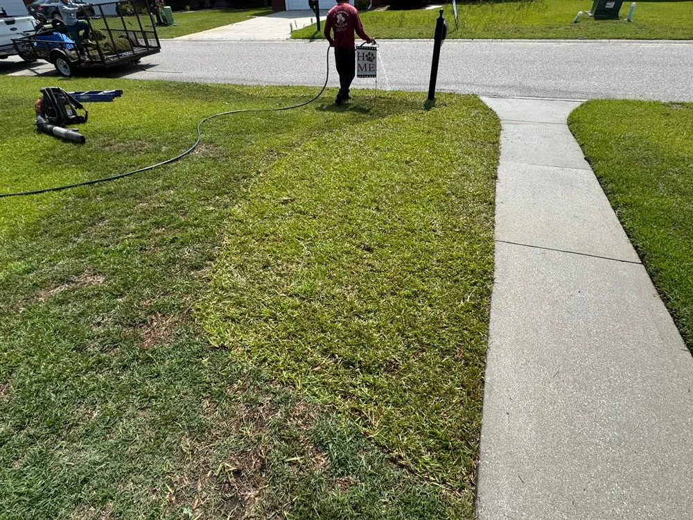 Expert yard maintenance for outdoor upgrades across Timmonsville, SC - JSalas Landscaping