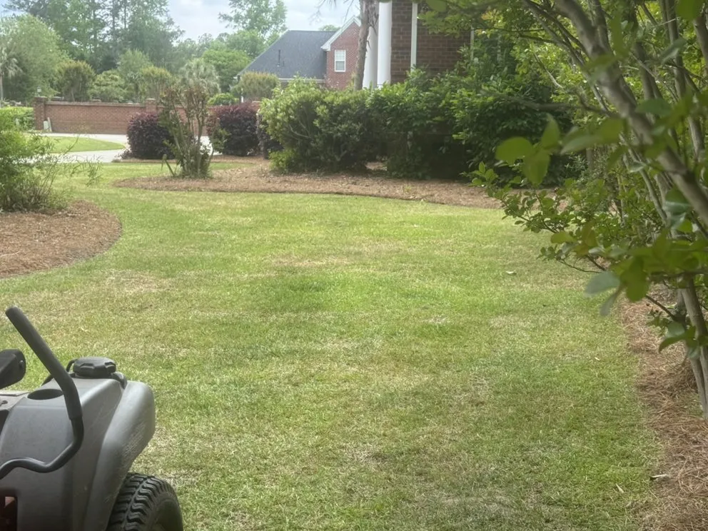 Reliable landscape installation in Timmonsville, SC by JSalas Landscaping