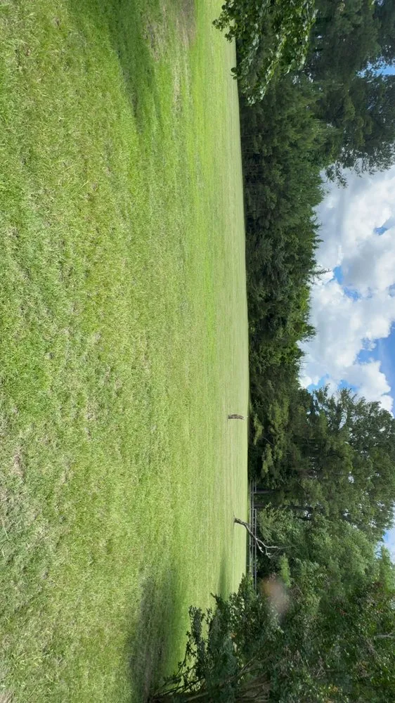 Local landscape installation in Timmonsville, SC by JSalas Landscaping