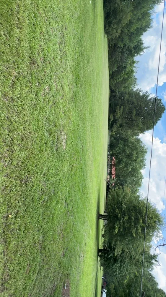 Professional yard maintenance for year-round maintenance across Timmonsville, SC - JSalas Landscaping