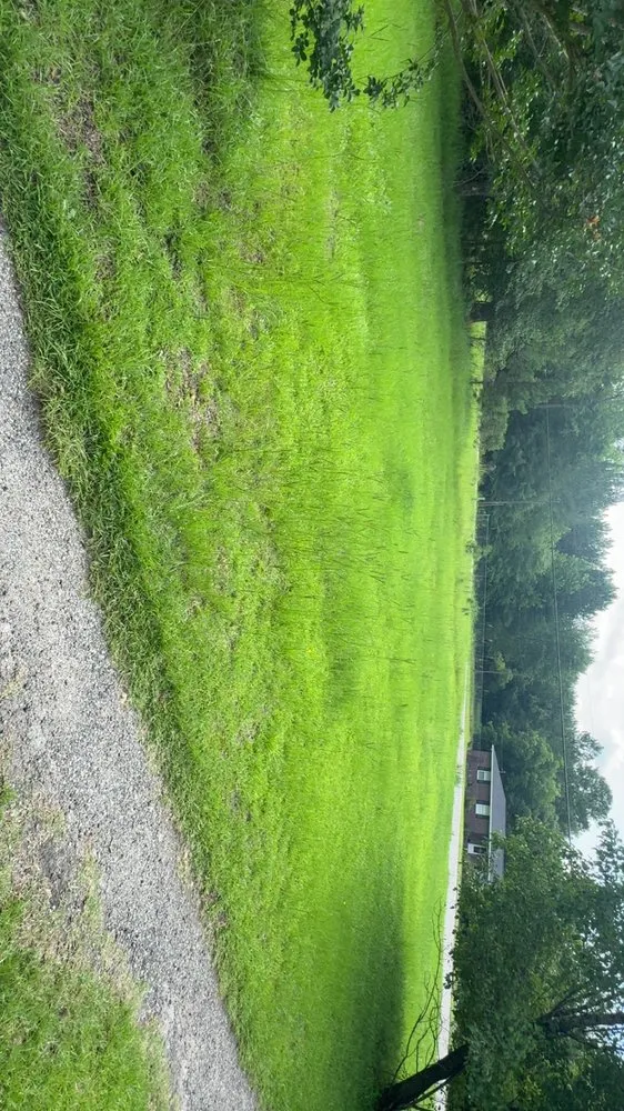 Expert landscaping services in Timmonsville, SC - JSalas Landscaping