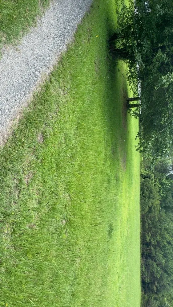 Reliable landscaping services for homes across Timmonsville, SC - JSalas Landscaping