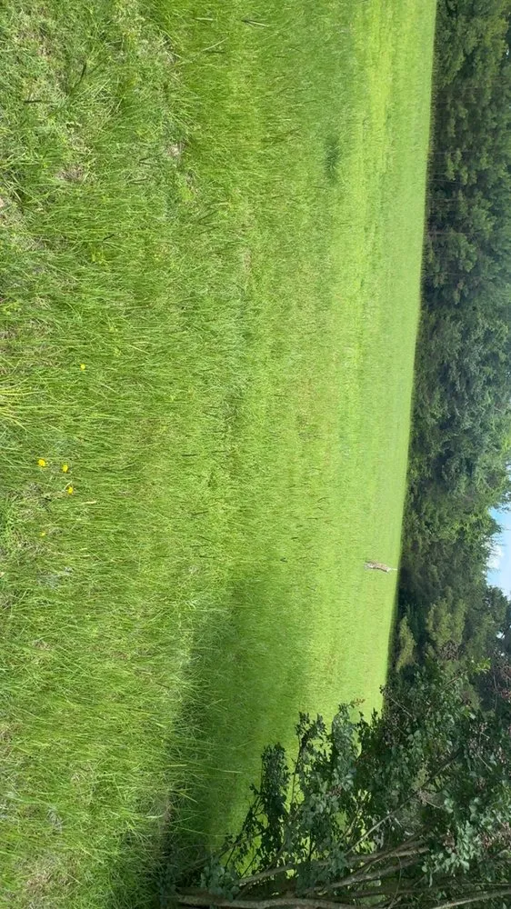 Local lawn mowing service experts serving Timmonsville, SC - JSalas Landscaping