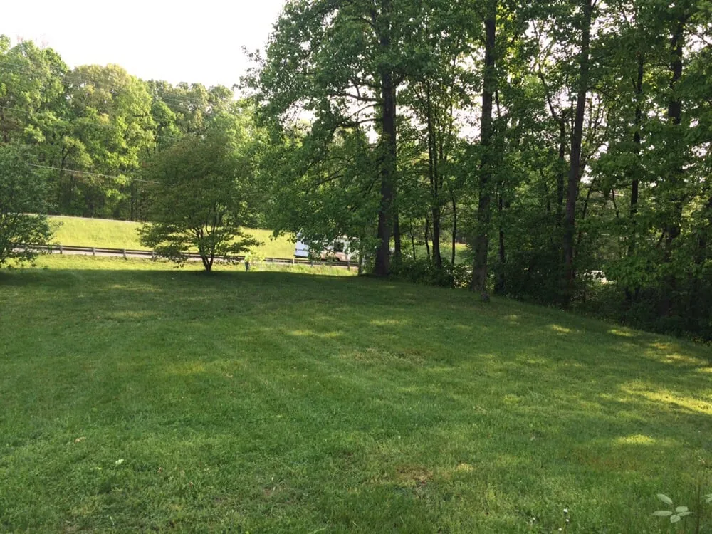 Top-rated yard cleanup service for year-round maintenance across Amissville, VA - JSC Lawn Care & Handyman Services