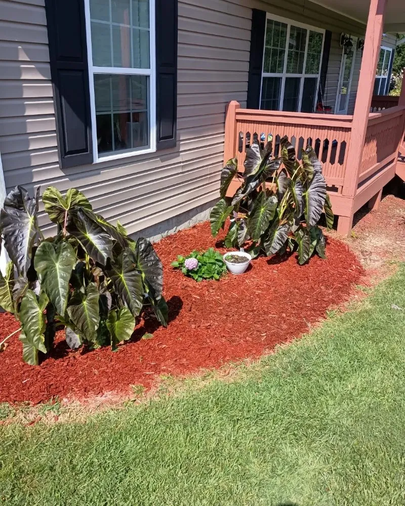 Affordable lawn mowing service for beautiful yards in Hendersonville, NC by JSC Lawn Care & Landscaping