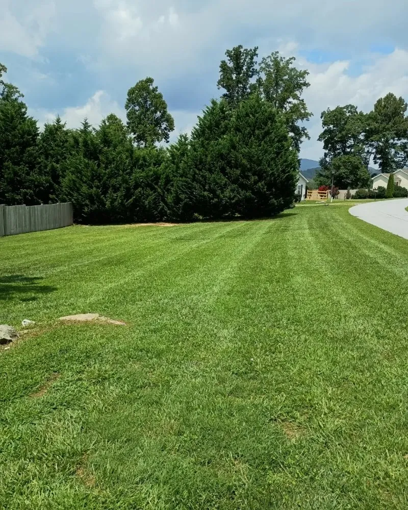 Professional yard cleanup service for outdoor upgrades in Hendersonville, NC by JSC Lawn Care & Landscaping