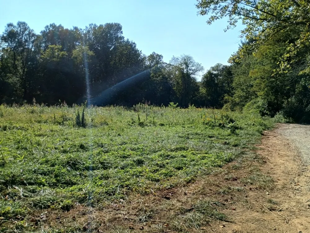 Professional yard maintenance for residential properties in Hendersonville, NC by JSC Lawn Care & Landscaping