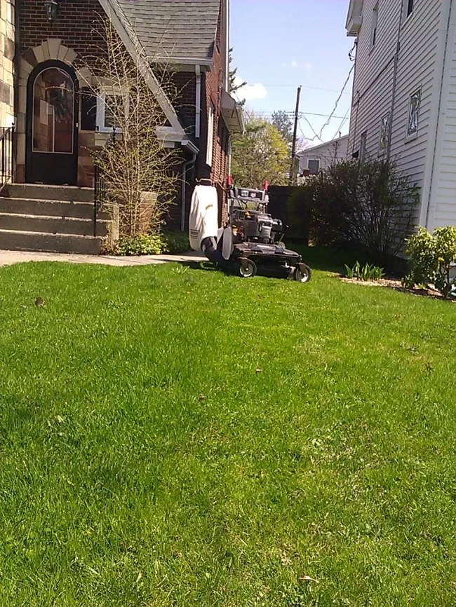 Trusted lawn mowing service in Torrington, CT by JSD Home Repair & Maintenance
